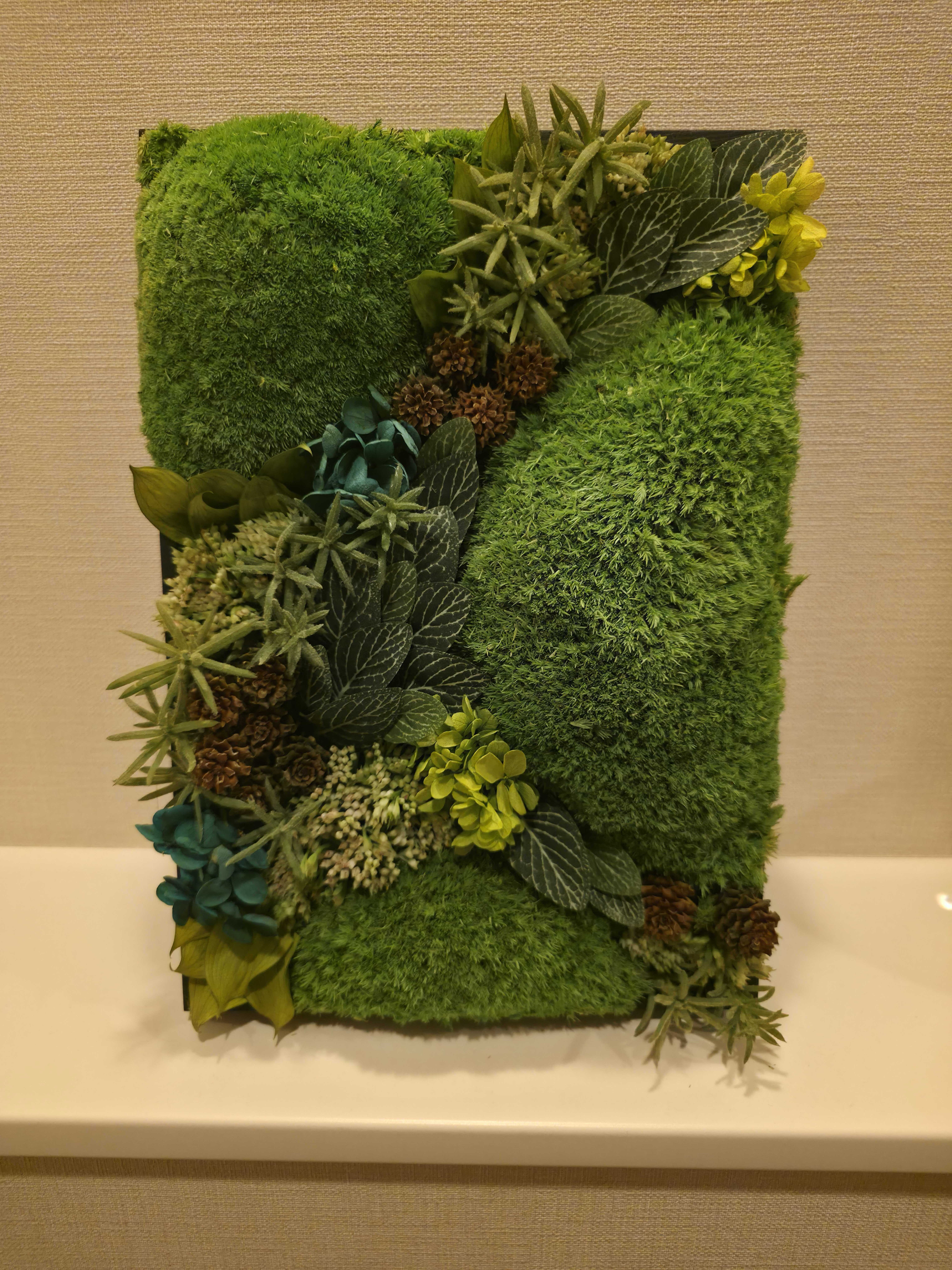 プリザーブドモス